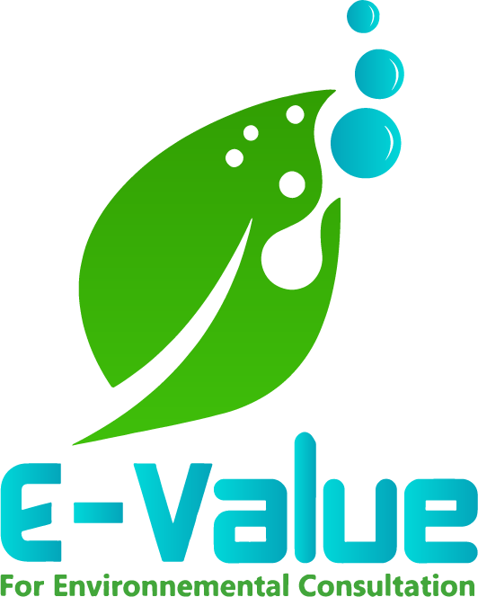 Evalue Logo